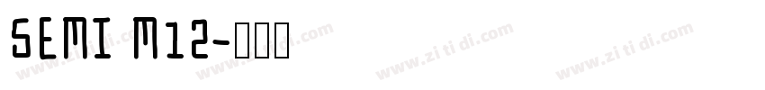 SEMI M12字体转换